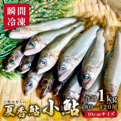 日野川育ちの「夏香鮎」小鮎(約10cm)瞬間冷凍 1kg