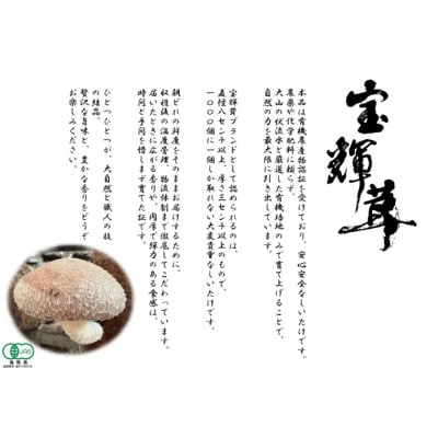こだわり極めたしいたけ「宝輝茸」