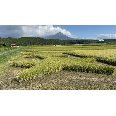 鳥取県産 星空舞　8kg