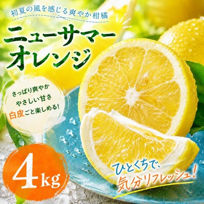 【選ぶならこれ】初夏の爽快感【ニューサマーオレンジ】4kg　愛媛県産