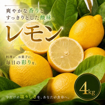 【選び抜いた一箱】香り際立つ【レモン】4kg　愛媛県産