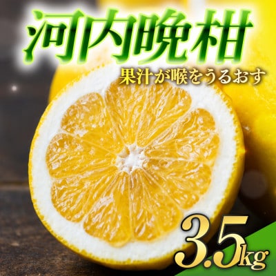 【選ぶならこれ】和製グレープフルーツ【河内晩柑】3.5kg　愛媛県産