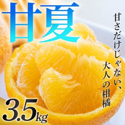 【安心して選べる】甘酸っぱい爽快感【甘夏】3.5kg　愛媛県産