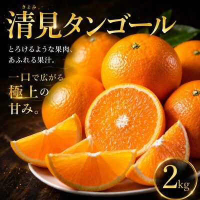 【選ぶならこれ】果汁じゅわっと【清見タンゴール】2kg　愛媛県産
