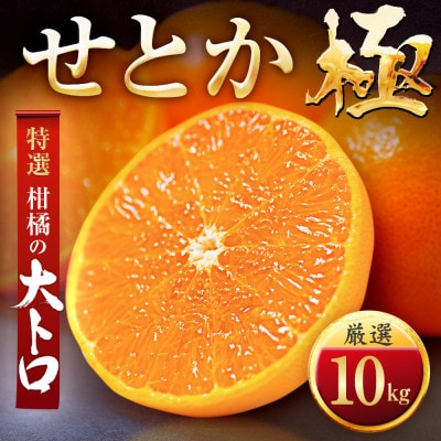 【毎年大人気】柑橘の大トロ!【せとか】10kg　愛媛県産【E49-67】