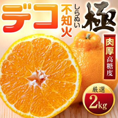 【濃厚果実】コク深い甘み【不知火】【極】2kg