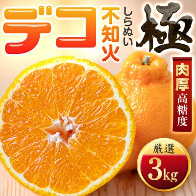 【濃厚果実】コク深い甘み【不知火】【極】3kg