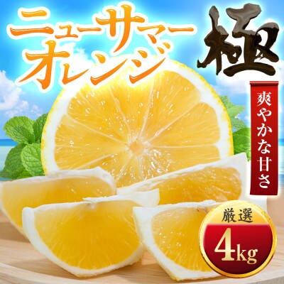 【朝に食べたい】ニューサマーオレンジ【極】4kg　愛媛県産