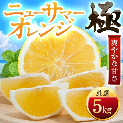 【朝に食べたい】ニューサマーオレンジ【極】5kg　愛媛県産