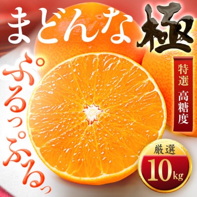 【今年も売れてます】ぷるぷる食感【まどんな】10kg　※紅まどんな と同品種