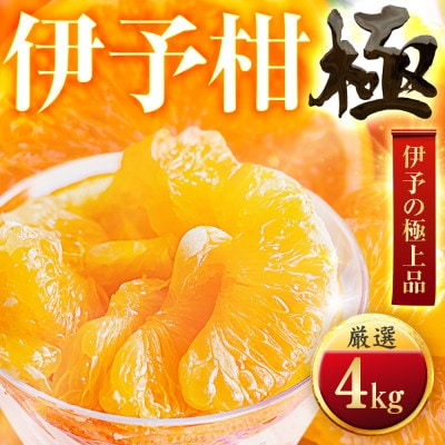 【昔ながらの美味しさ】伊予柑【極】4kg　愛媛県産