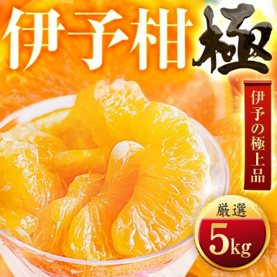 【昔ながらの美味しさ】伊予柑【極】5kg　愛媛県産