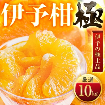 【昔ながらの美味しさ】伊予柑【極】10kg　愛媛県産