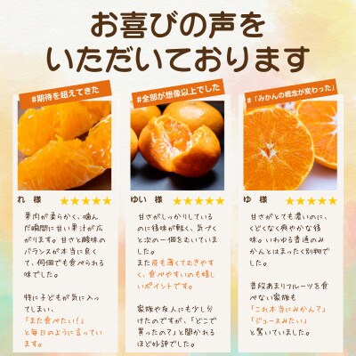【和製グレープフルーツ】河内晩柑【極】6kg　愛媛県産