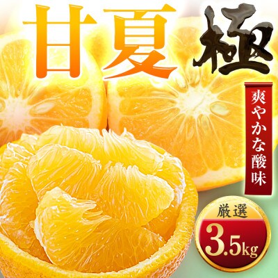 【クセになる爽やかさ】甘夏【極】3.5kg　愛媛県産
