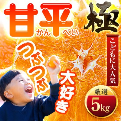 【売切れ前に!】シャキシャキ甘い♪♪【甘平】5kg　愛媛県産