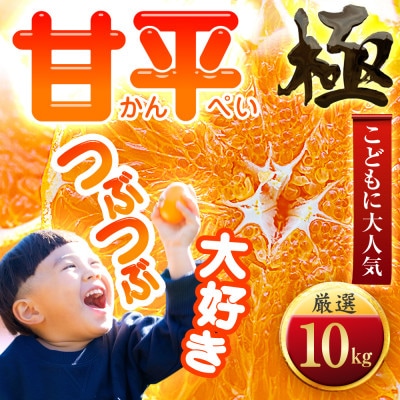 【売切れ前に!】シャキシャキ甘い♪♪【甘平】10kg　愛媛県産