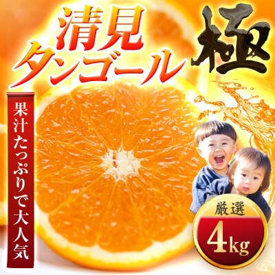 【オレンジ好き必見】とろける果肉【清見タンゴール】【極】4kg