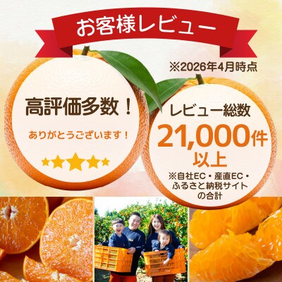 【オレンジ好き必見】とろける果肉【清見タンゴール】【極】5kg