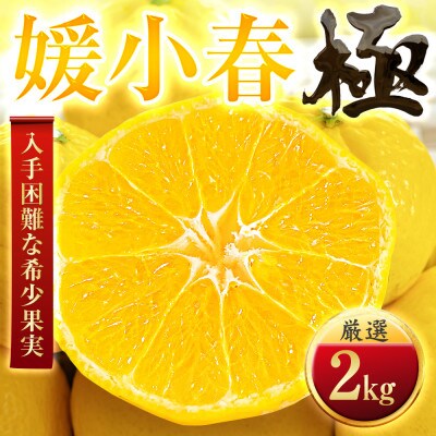 【なくなり次第終了】驚きの甘さ【媛小春(ひめこはる)】【極】2kg