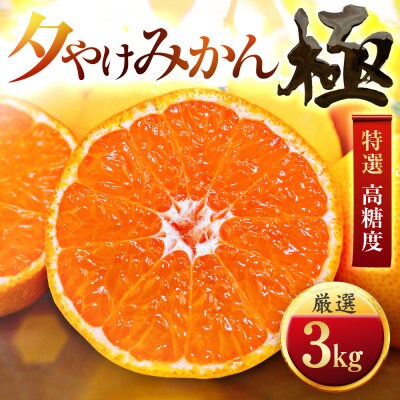 【迷ったらこれ!】甘みが濃縮　夕やけみかん【極】3kg　愛媛県産