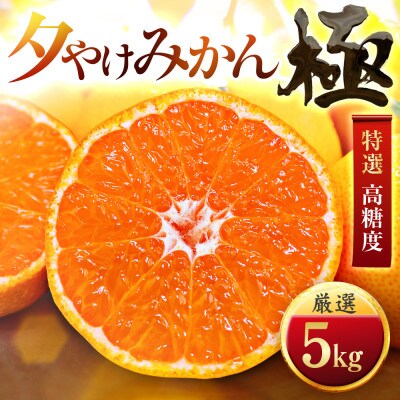 【迷ったらこれ!】甘みが濃縮　夕やけみかん【極】5kg　愛媛県産