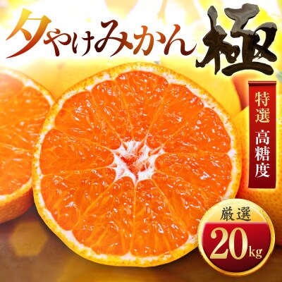 【迷ったらこれ!】甘みが濃縮　夕やけみかん【極】20kg　愛媛県産