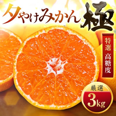 【迷ったらこれ!】甘みが濃縮　夕やけみかん【極】3kg(小玉)　愛媛県産