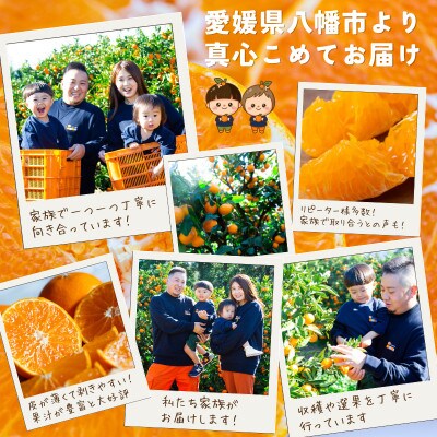 【迷ったらこれ!】甘みが濃縮　夕やけみかん【極】10kg(小玉)　愛媛県産