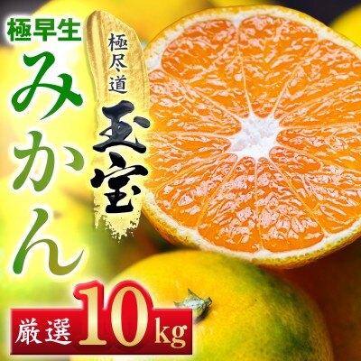 【愛媛名産】極早生みかん 10kg
