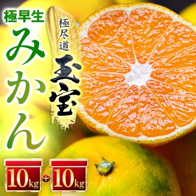 【愛媛名産】極早生みかん【雫・・小玉】 20kg