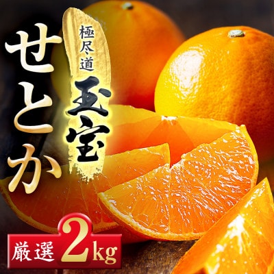 「玉宝ブランド」【せとか】2kg