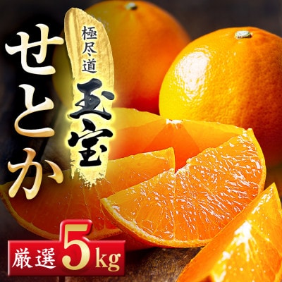 「玉宝ブランド」【せとか】5kg
