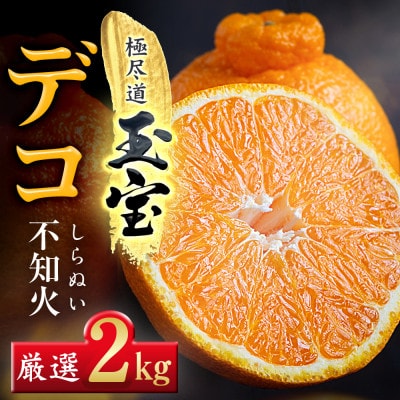 【愛媛名産】玉宝デコ(不知火)　2kg