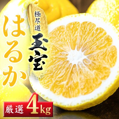 【愛媛名産】玉宝はるか　4kg