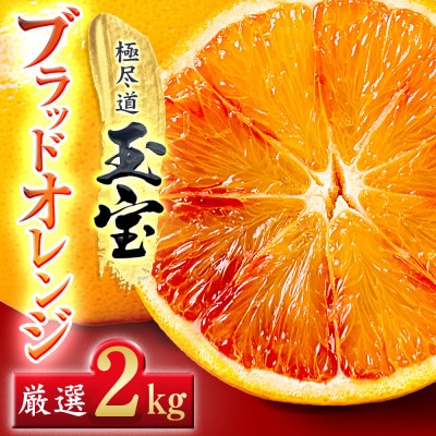 【愛媛名産】玉宝ブラッドオレンジ(タロッコ)　2kg