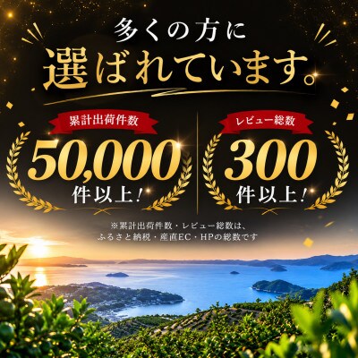 【愛媛名産】玉宝ブラッドオレンジ(タロッコ)　2kg