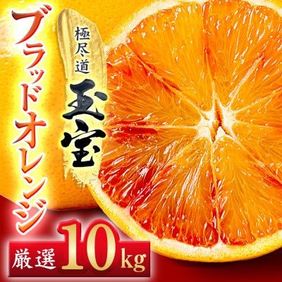 【愛媛名産】玉宝ブラッドオレンジ(タロッコ)　10kg