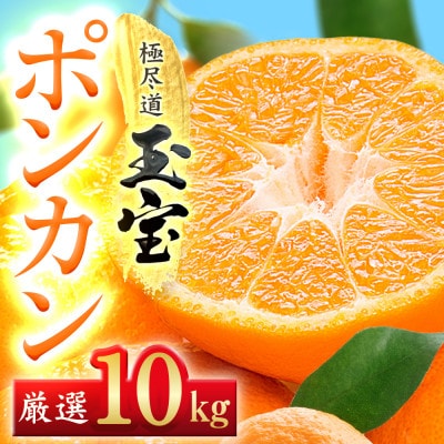 【愛媛名産】玉宝ポンカン　10kg