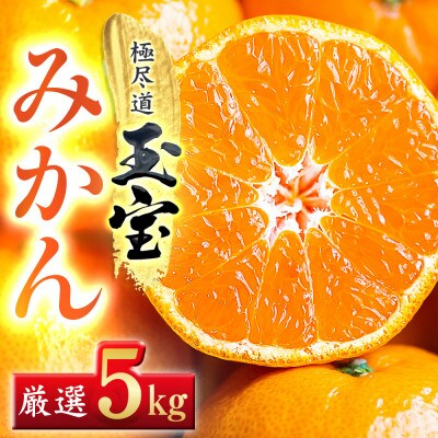 【愛媛名産】玉宝みかん　5kg