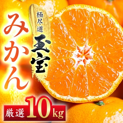 【愛媛名産】玉宝みかん【雫・・小玉】(10kg)