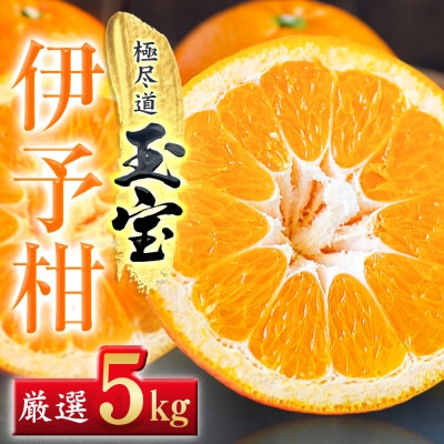 【愛媛名産】玉宝伊予柑　5kg
