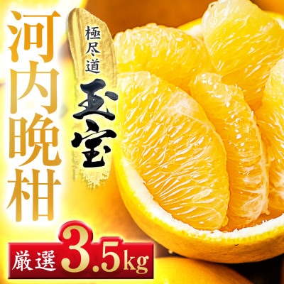 【愛媛名産】玉宝河内晩柑　3.5kg