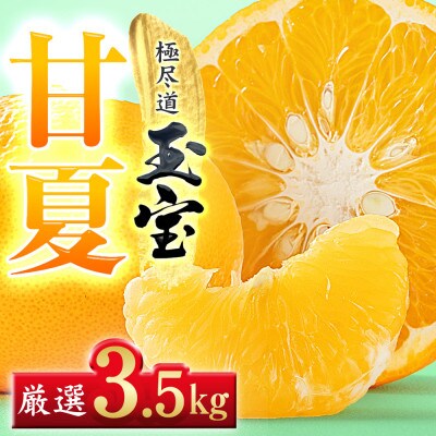 【愛媛名産】玉宝甘夏　3.5kg