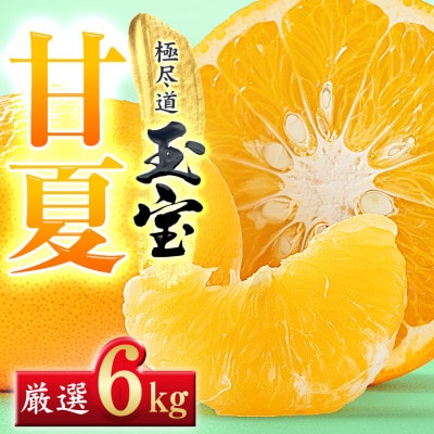 【愛媛名産】玉宝甘夏　6kg