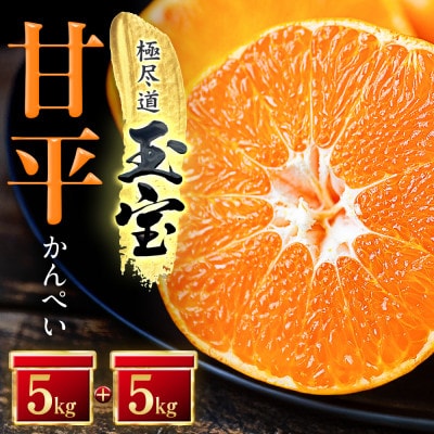「玉宝ブランド」【甘平】10kg