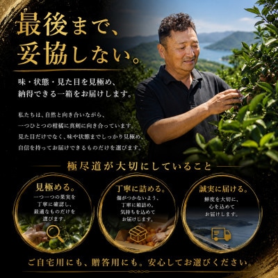 【愛媛名産】玉宝媛小春(ひめこはる)　10kg