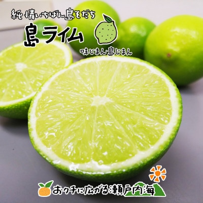 希望の島 ライム 家庭用 2kg 愛媛県松山市中島産