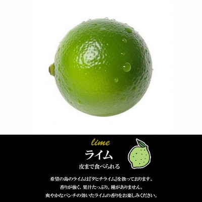 希望の島 ライム 家庭用 2kg 愛媛県松山市中島産