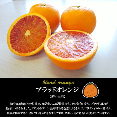 希望の島 ブラッドオレンジ 特選品 中玉 2kg 愛媛県松山市中島産